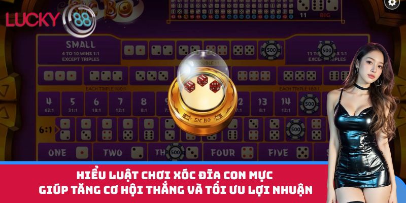 Hiểu luật chơi Xóc Đĩa Con Mực giúp tăng cơ hội thắng và tối ưu lợi nhuận