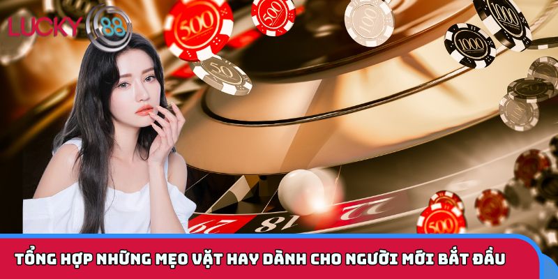 Mẹo hay giúp người chơi mới dễ thắng ngay từ ván đầu tiên