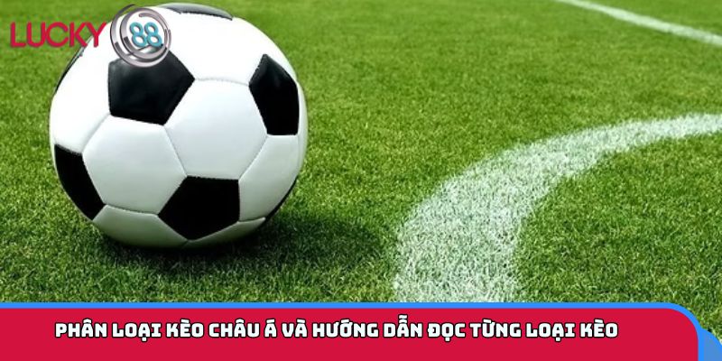 Phân loại kèo châu Á và hướng dẫn đọc từng loại kèo