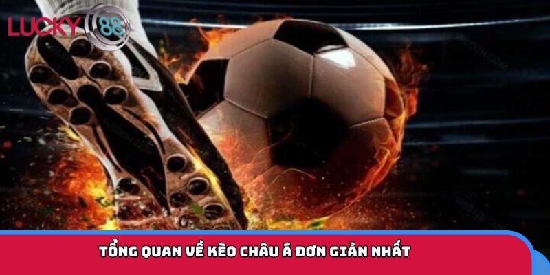 Tổng quan về kèo châu Á đơn giản nhất